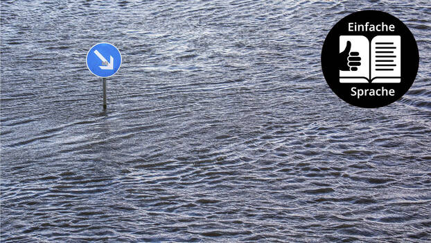 Die Elbe führt Hochwasser. Rechts oben im Bild befindet sich ein rundes schwarzes Logo mit weißer Schrift. Darauf steht «Einfache Sprache».