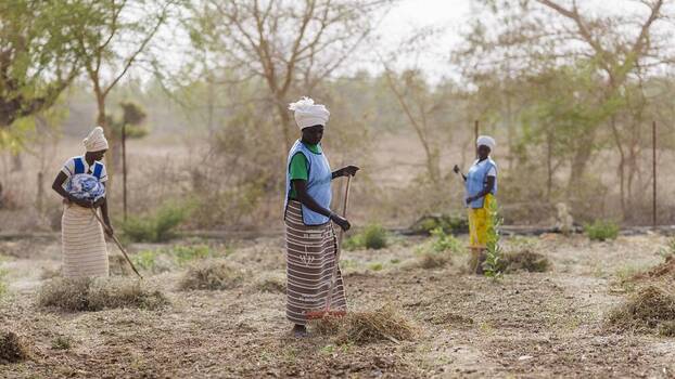Farmers prepare fields for organic farming at the Beo Noree Agricultural Training Centre in Beo Noree, Burkina Faso.